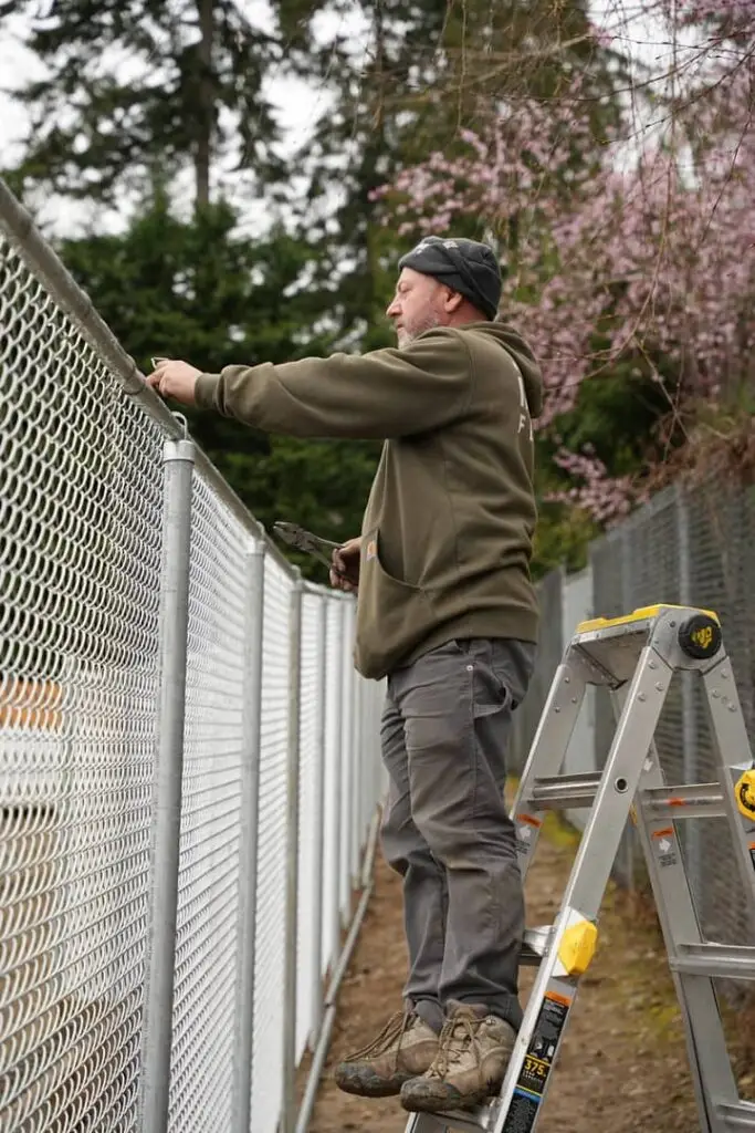 Reasons to Install a Chain Link Fence (Safety, Durability, & More)