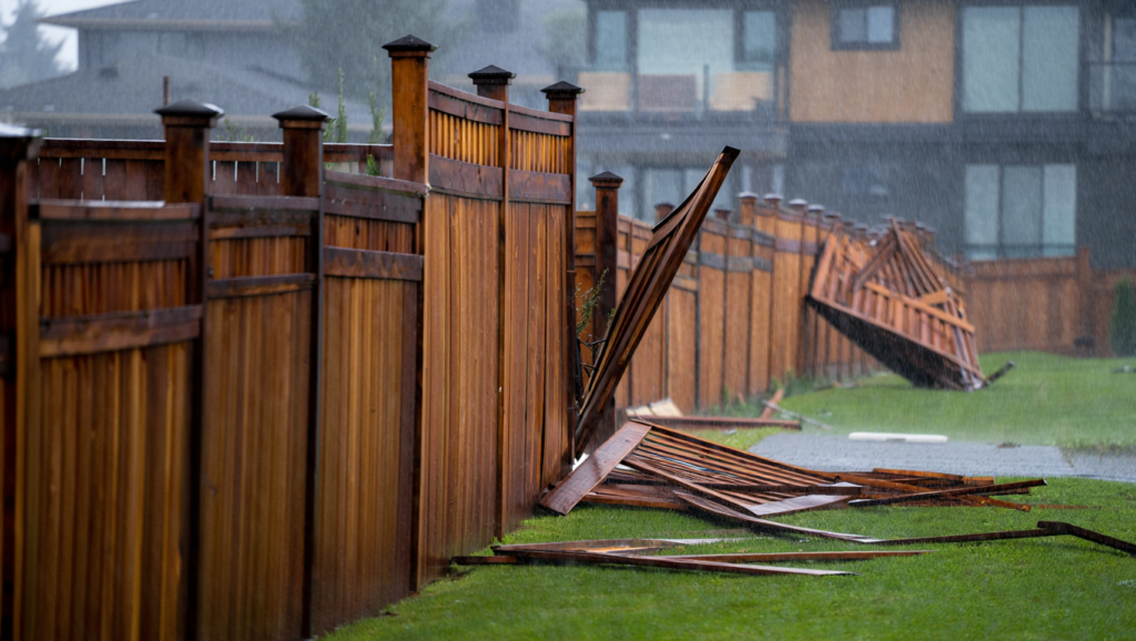 A long stretch of wood fence collapsed and leaning over a green lawn during a heavy Western Washington rainstorm.