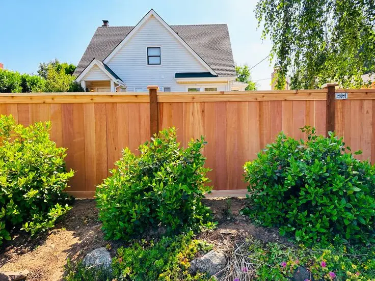A solid cedar privacy fence acting as a visual frame for lush green garden shrubs in a bright residential backyard.