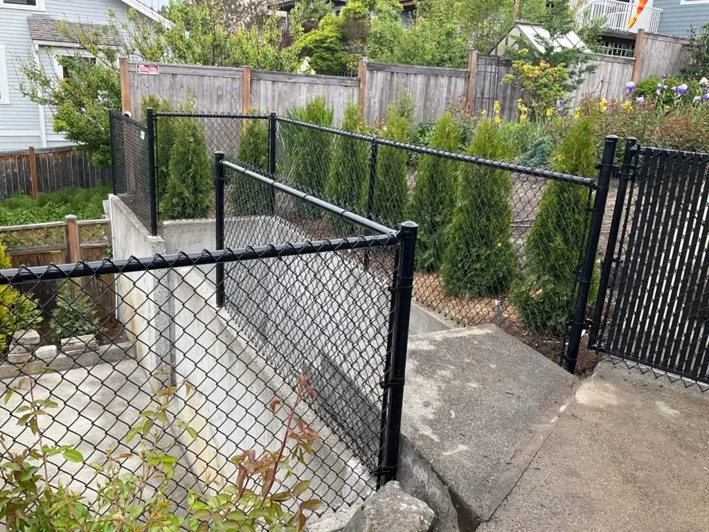 Comparison of a black vinyl-coated chain link fence in the foreground with a private cedar fence and green hedges in the background.