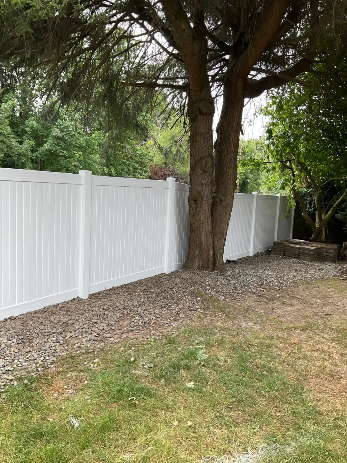 A white vinyl privacy fence installation Normandy Park section built behind a large tree.