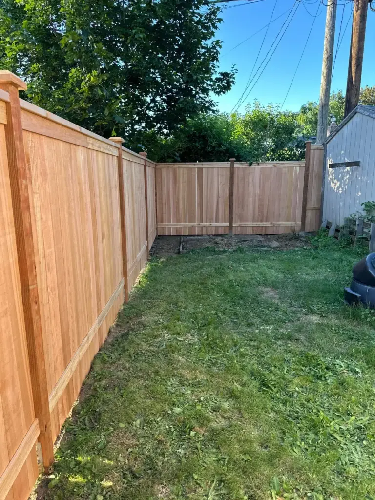 A freshly installed light wood privacy fence enclosing a grassy backyard corner next to a shed under a clear blue sky.