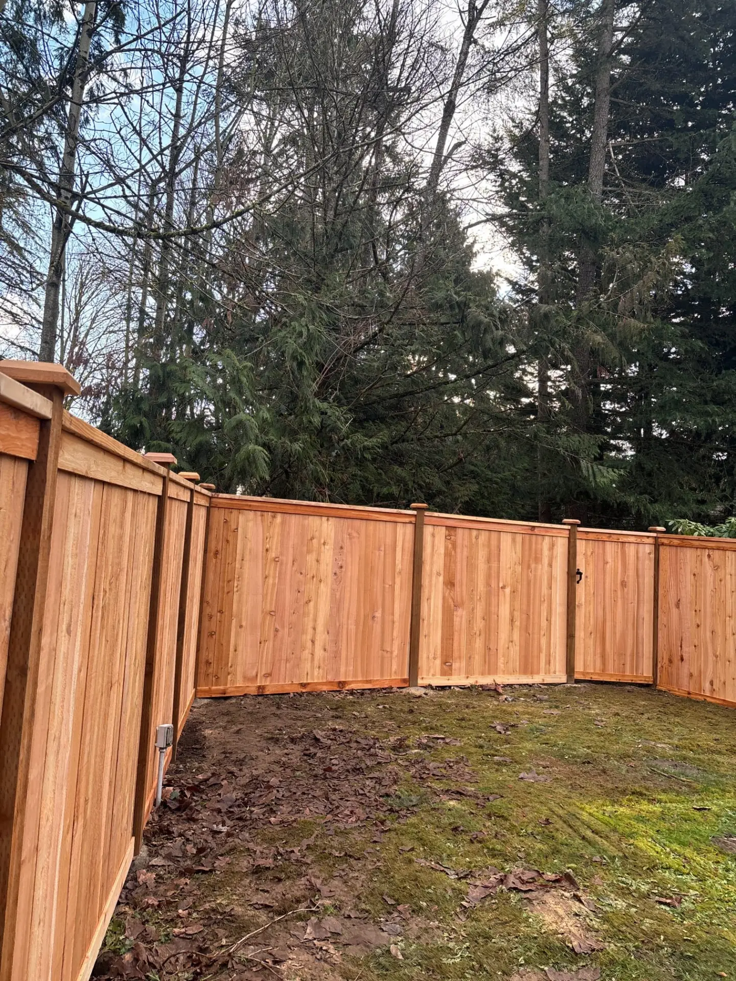 A close-up view of a new cedar fence installation Renton WA bordering a yard with tall trees.