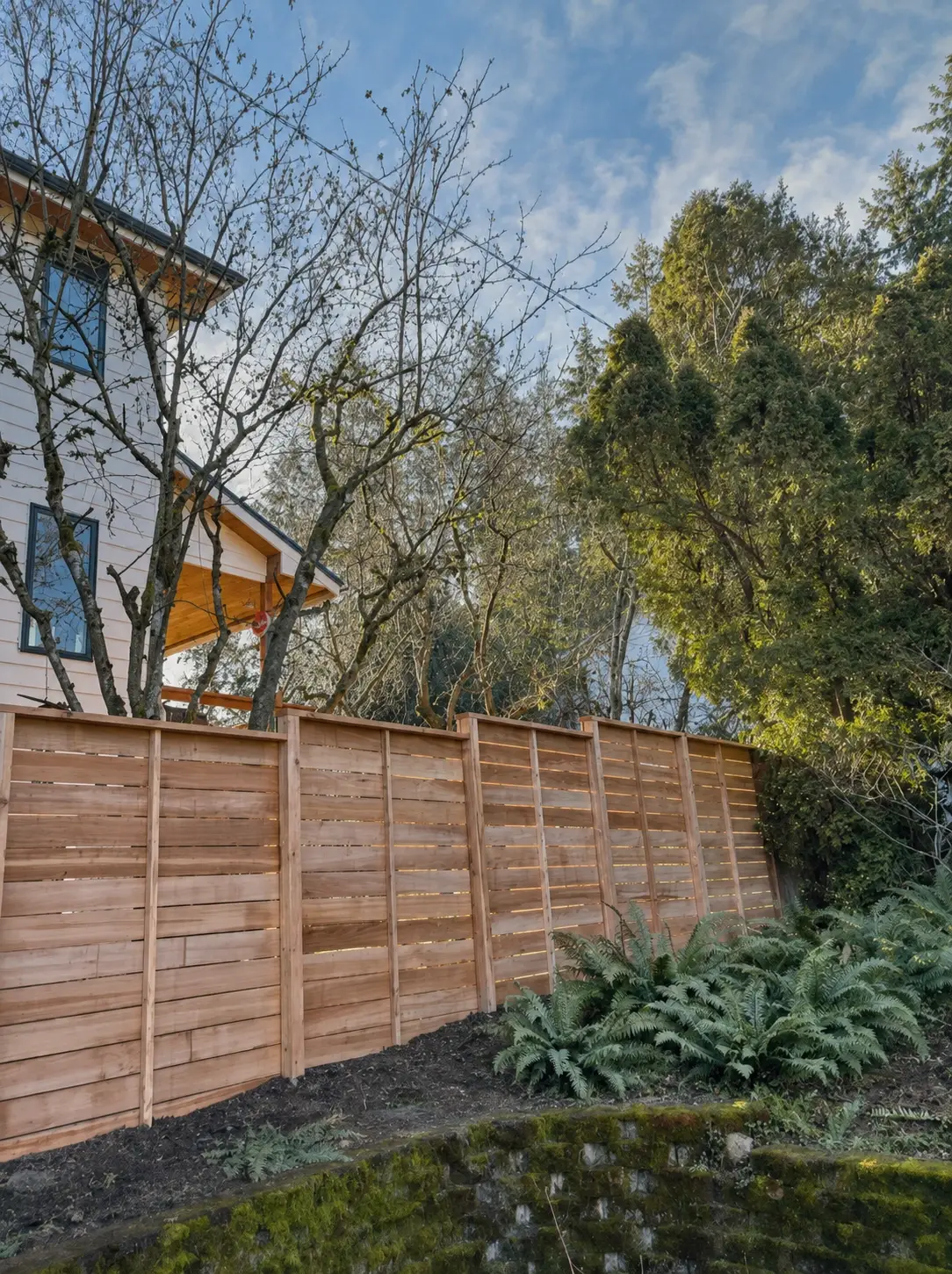 Modern wood fence installation in Portland along a sloped backyard with lush green ferns and tall trees.