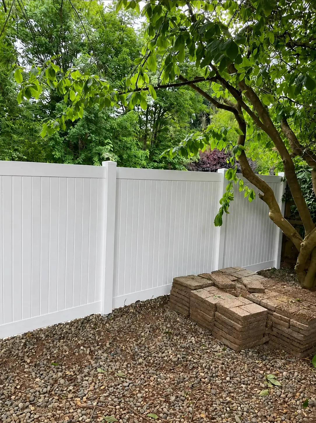 White vinyl privacy fence installed beneath mature backyard trees beside stacked pavers in Normandy Park, WA.