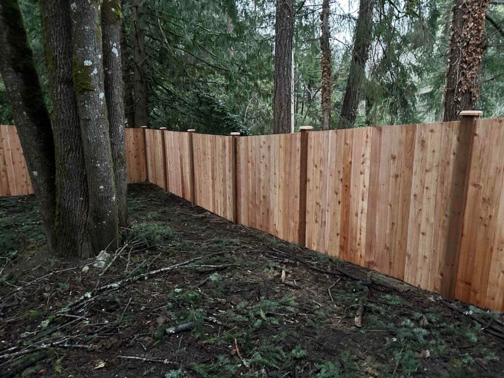 Newly installed cedar privacy fence with dark posts running along a wooded forest boundary.