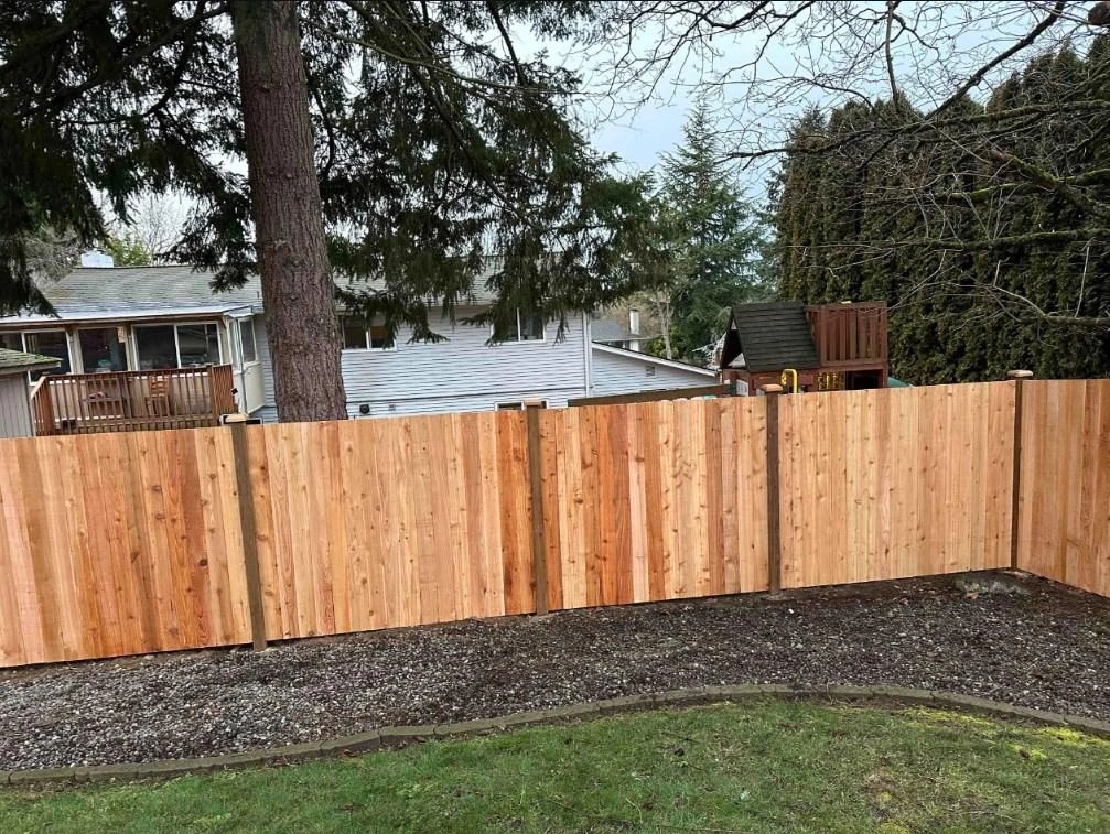 New six-foot cedar Rambler fence with capped posts enclosing a backyard